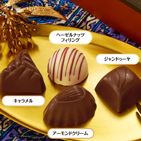 エリート　オレンジブラウン（バッグ付）≪ＷＥＢ限定！≫