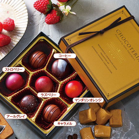 ショコテリア　ムースショコラ【通常お届け】