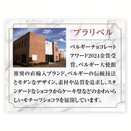 プラリベル　ドーナツショコラ【通常お届け】