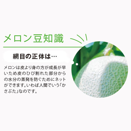 夕張メロン２玉（２．６ｋｇ前後）良品　６月下旬－７月下旬お届け