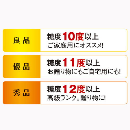 夕張メロン２玉（４．０ｋｇ前後）良品　６月下旬－７月下旬お届け