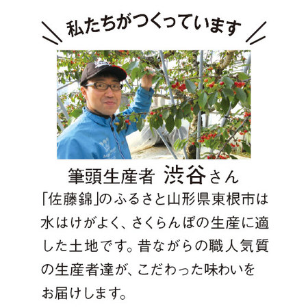 さくらんぼ職人の佐藤錦　秀品　３５０ｇ前後　６月上旬－７月上旬お届け