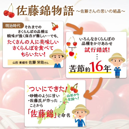 さくらんぼ職人の佐藤錦　秀品　７００ｇ前後　６月上旬－７月上旬お届け