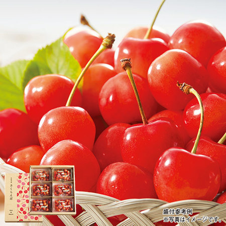 さくらんぼ職人の佐藤錦　秀品　１．０ｋｇ前後　６月上旬－７月上旬お届け