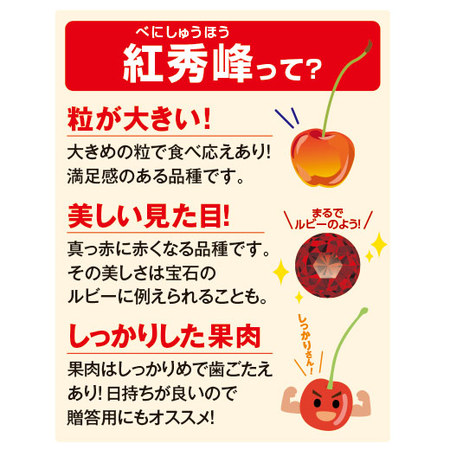 さくらんぼ職人の紅秀峰　３５０ｇ前後　６月上旬－７月中旬お届け
