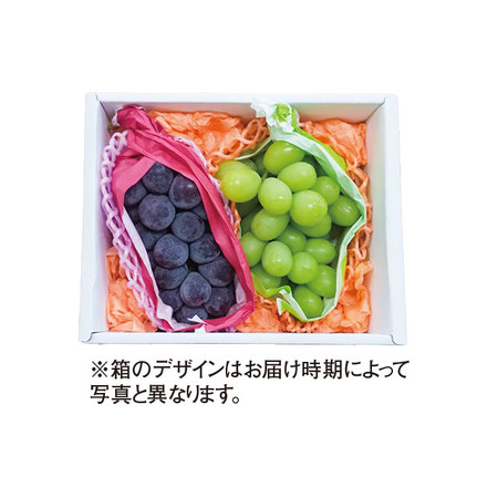 長野２色ぶどうの詰め合わせ　計１．０ｋｇ前後　９月中旬－１０月下旬お届け