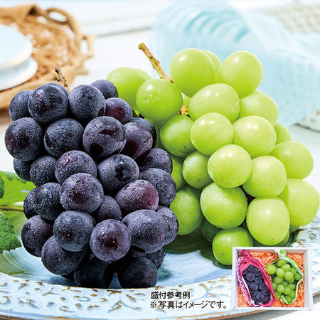 長野２色ぶどうの詰め合わせ　計１．０ｋｇ前後　９月中旬－１０月下旬お届け