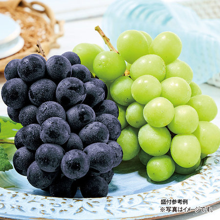 長野２色ぶどうの詰め合わせ　計２．０ｋｇ前後　９月中旬－１０月下旬お届け