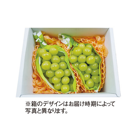 長野県産　シャインマスカット　計１．０ｋｇ前後　９月中旬－１０月下旬お届け