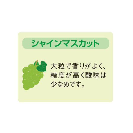 長野県産　シャインマスカット　計２．０ｋｇ前後　９月中旬－１０月下旬お届け