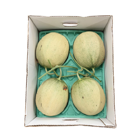 ご自宅用夕張メロン（個撰品）　８．０ｋｇ前後　７月中旬－７月下旬お届け