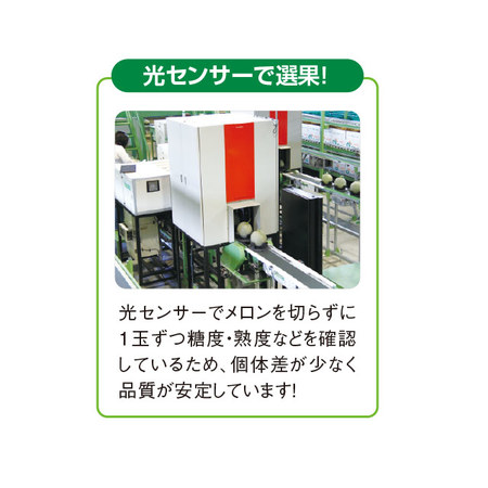 北海道の赤肉メロン　らいでん優品　計３．２ｋｇ前後　７月下旬－９月上旬お届け