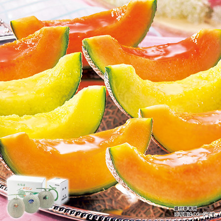 北海道メロン３種食べ比べセット　７月中旬－８月上旬お届け