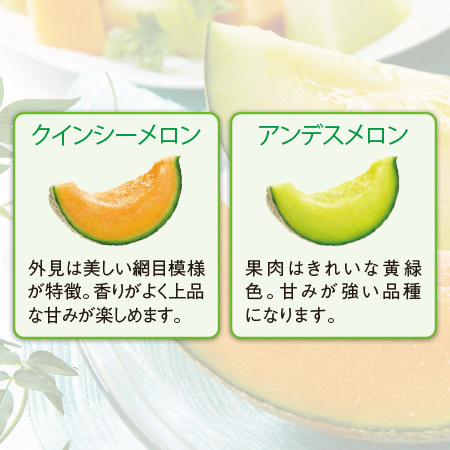茨城県産　旭村のメロン食べ比べ　２．５ｋｇ前後　５月下旬－６月下旬お届け
