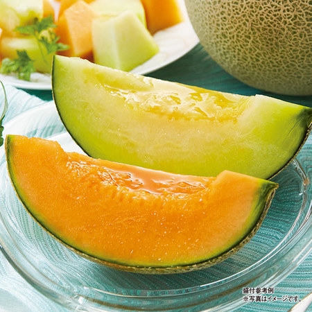 茨城県産　旭村のメロン食べ比べ　２．５ｋｇ前後　５月下旬－６月下旬お届け