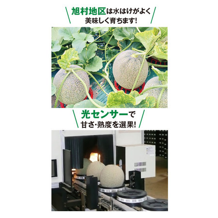 茨城県産　旭村のメロン食べ比べ　５．０ｋｇ前後　５月下旬－６月下旬お届け