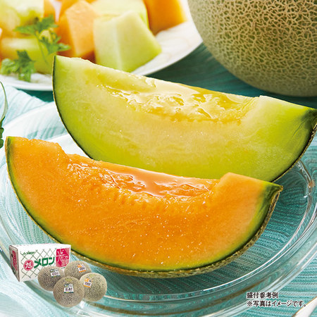 茨城県産　旭村のメロン食べ比べ　５．０ｋｇ前後　５月下旬－６月下旬お届け