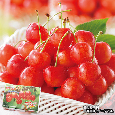 北海道のさくらんぼ　紅秀峰　１．０ｋｇ前後　７月中旬－７月下旬お届け