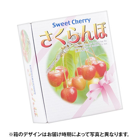 北海道のさくらんぼ　佐藤錦　５００ｇ前後　７月上旬－７月中旬お届け