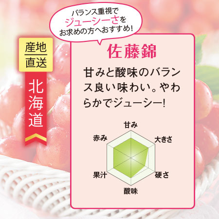 北海道のさくらんぼ　佐藤錦　５００ｇ前後　７月上旬－７月中旬お届け