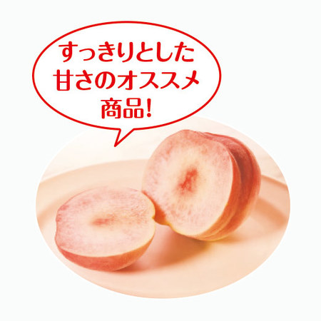 新食感のおどろき桃　３．０ｋｇ前後　８月上旬－９月上旬お届け