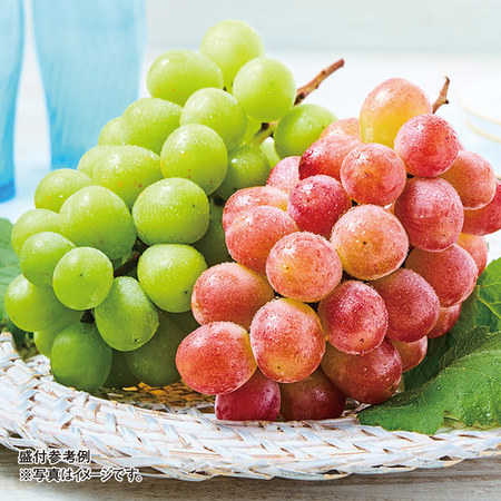 山梨県産サンシャインレッド＆シャインマスカット各１房　計８００ｇ前後　８月中旬－９月下旬お届け