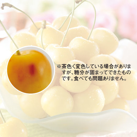 北海道大橋農園の月山錦＆紅秀峰セット　計４００ｋｇ前後　７月中旬－７月下旬お届け