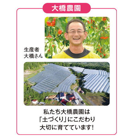北海道大橋農園の月山錦＆紅秀峰セット　計４００ｋｇ前後　７月中旬－７月下旬お届け