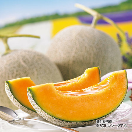 池田さんのふらの特選特大メロン　２．０ｋｇ前後　７月中旬－８月下旬お届け