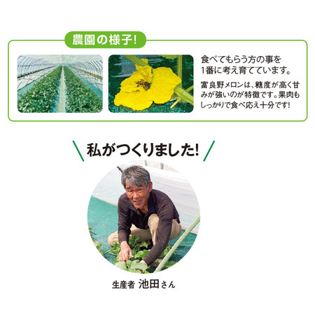 池田さんのふらの特選特大メロン　４．０ｋｇ前後　７月中旬－８月下旬お届け