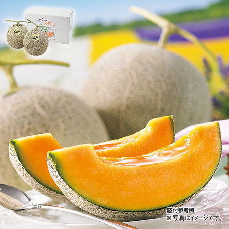 池田さんのふらの特選特大メロン　４．０ｋｇ前後　７月中旬－８月下旬お届け