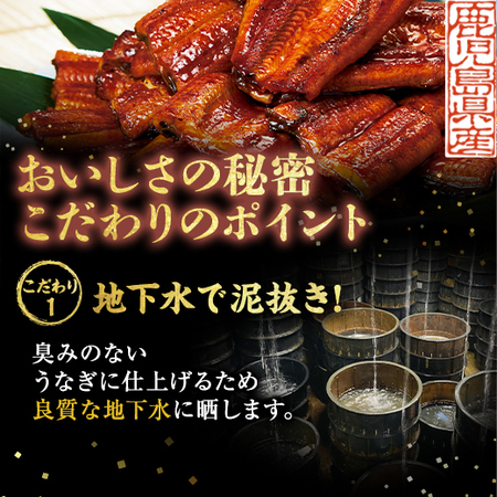 鹿児島県産お徳用カットうなぎ３パック【お届け期間指定可】