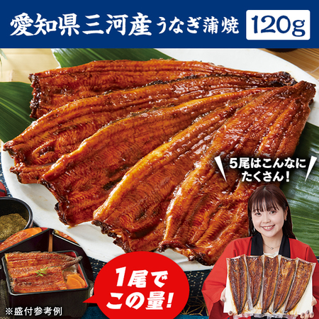 愛知県三河産うなぎ蒲焼　１２０ｇ　１尾【お届け期間指定可】