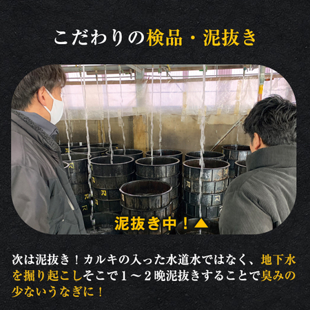 愛知県三河産うなぎ蒲焼　１２０ｇ　１尾【父の日お届け】