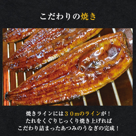 愛知県三河産うなぎ蒲焼　１２０ｇ　１尾【丑の日お届け】