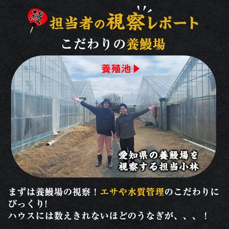 愛知県三河産うなぎ蒲焼　１２０ｇ　５尾【１０日前後お届け】