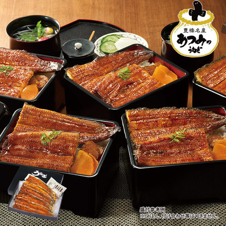 愛知県三河産うなぎ蒲焼　１２０ｇ　５尾【丑の日お届け】