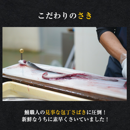 メガサイズ！愛知県三河産うなぎ蒲焼　１８０ｇ　３尾【お届け期間指定可】