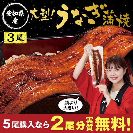 メガサイズ！愛知県三河産うなぎ蒲焼　１８０ｇ　３尾【お届け期間指定可】