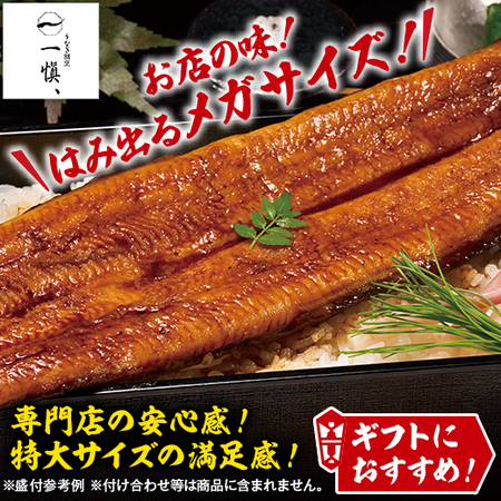 うなぎ割烹一愼　うなぎ蒲焼１８０ｇ　２尾【１０日前後お届け】