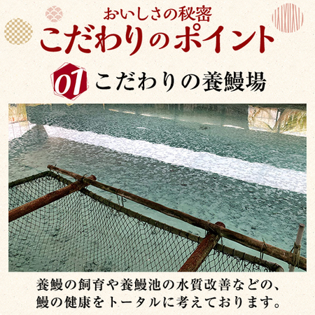 うなぎ割烹一愼　うなぎ蒲焼１８０ｇ　４尾【通常お届け】