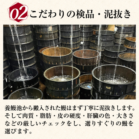 うなぎ割烹一愼　うなぎ蒲焼　お楽しみ３点セット【通常お届け】