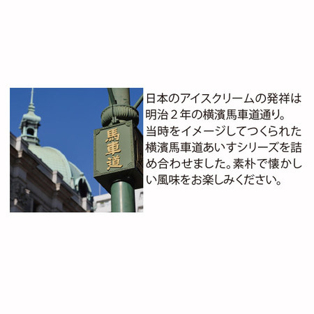 横濱　馬車道あいすセット　８種　計１２個【１０日前後お届け】