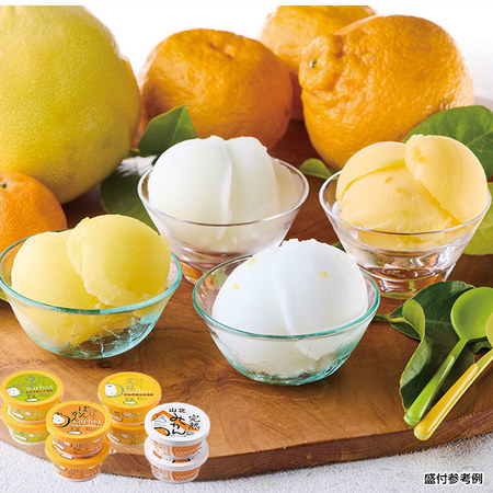 高知アイス　柑橘セット　４種　計８個【お届け期間指定可】