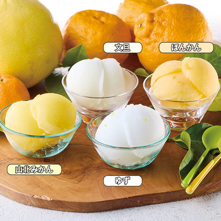 高知アイス　柑橘セット　４種　計１６個【お届け期間指定可】