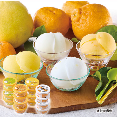 高知アイス　柑橘セット　４種　計１６個【お届け期間指定可】