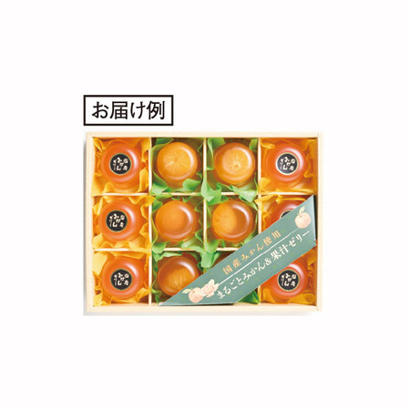 ごろっと！国産みかんゼリー　２種　計１２個【お届け期間指定可】