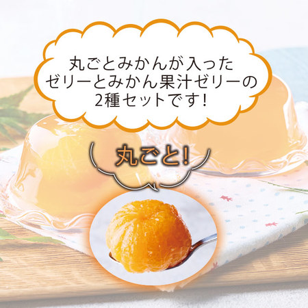 ごろっと！国産みかんゼリー　２種　計１２個【お届け期間指定可】