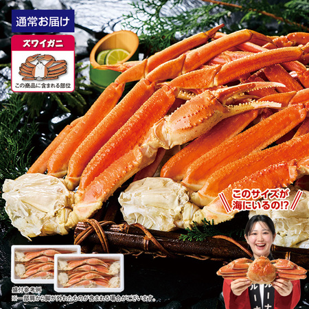 特大！ボイルズワイガニ脚　４．０ｋｇ【１０日前後お届け】