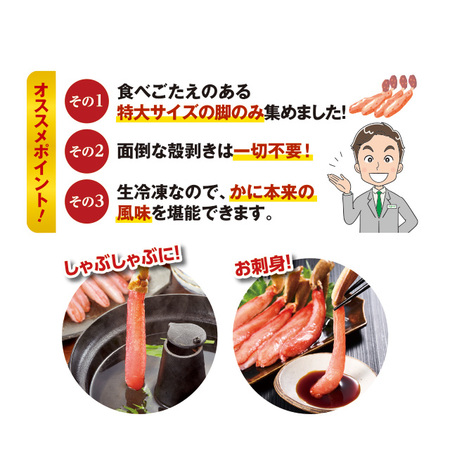 特大！生ズワイガニ脚ポーション　５００ｇ【１０日前後お届け】